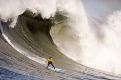 开云体育官网-跨界主宰，从篮球场的魔速穿针到F1街道的极速狂飙