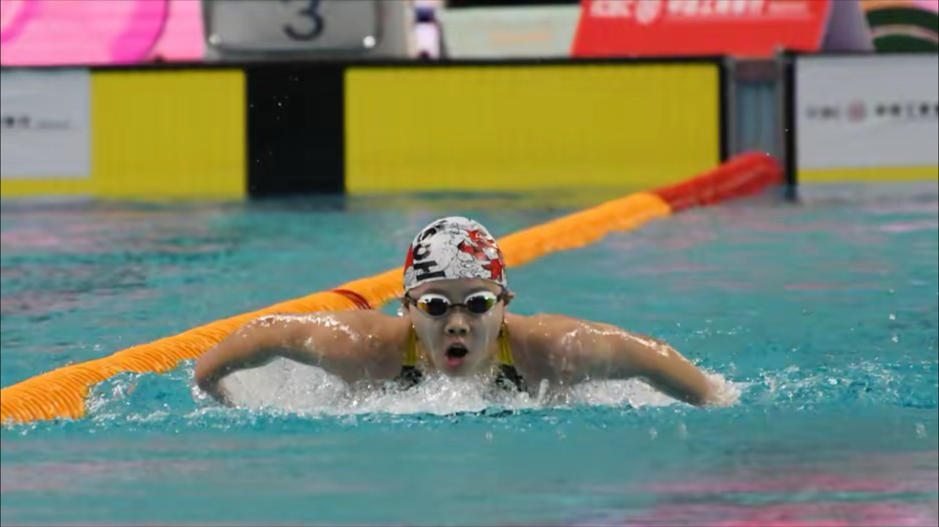 游泳女子决赛：千军万马过独木桥