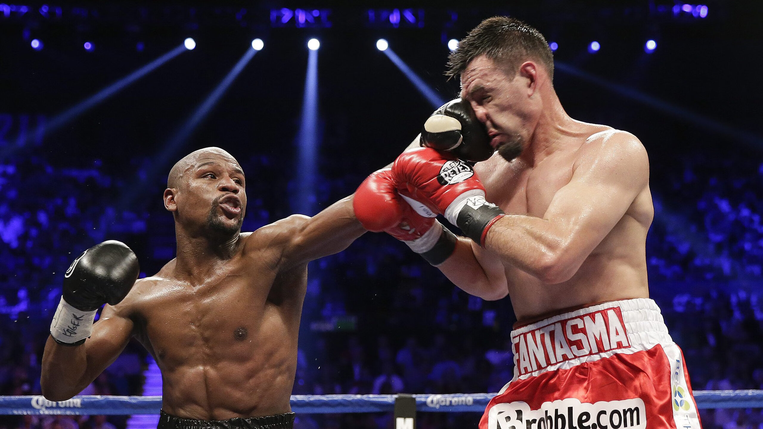 碾压之势，中国队完胜波兰队，樊振东成最大亮点